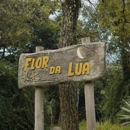 Página Inicial